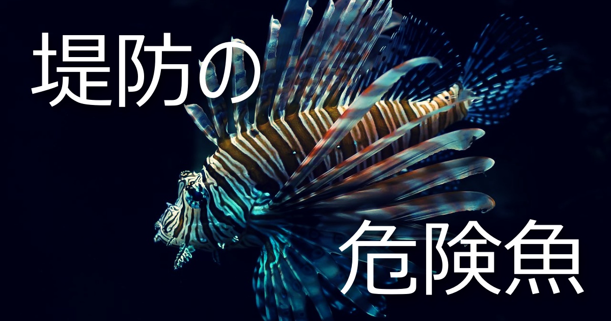 釣りビギナー必見 堤防でよく釣れるけど 実は触ると危険な5種類の魚 イナカデミー